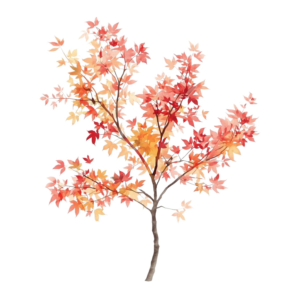 秋の紅葉のイメージ 水彩画風クリップアート16種 PNG形式(背景透過)