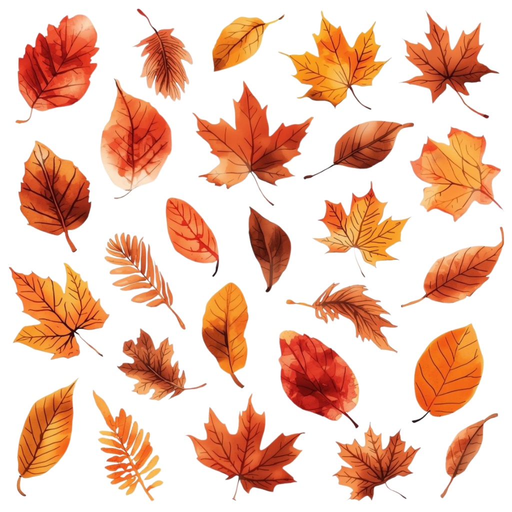 秋の紅葉のイメージ 水彩画風クリップアート2 PING形式(背景透過)