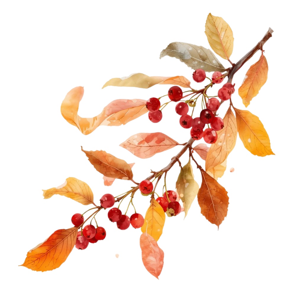 秋の紅葉のイメージ 水彩画風クリップアート2 PING形式(背景透過)