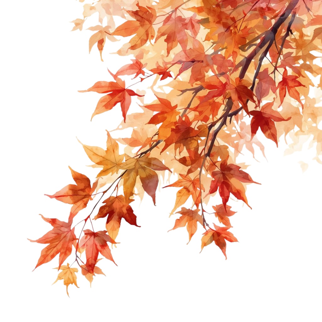 秋の紅葉のイメージ 水彩画風クリップアート2 PING形式(背景透過)