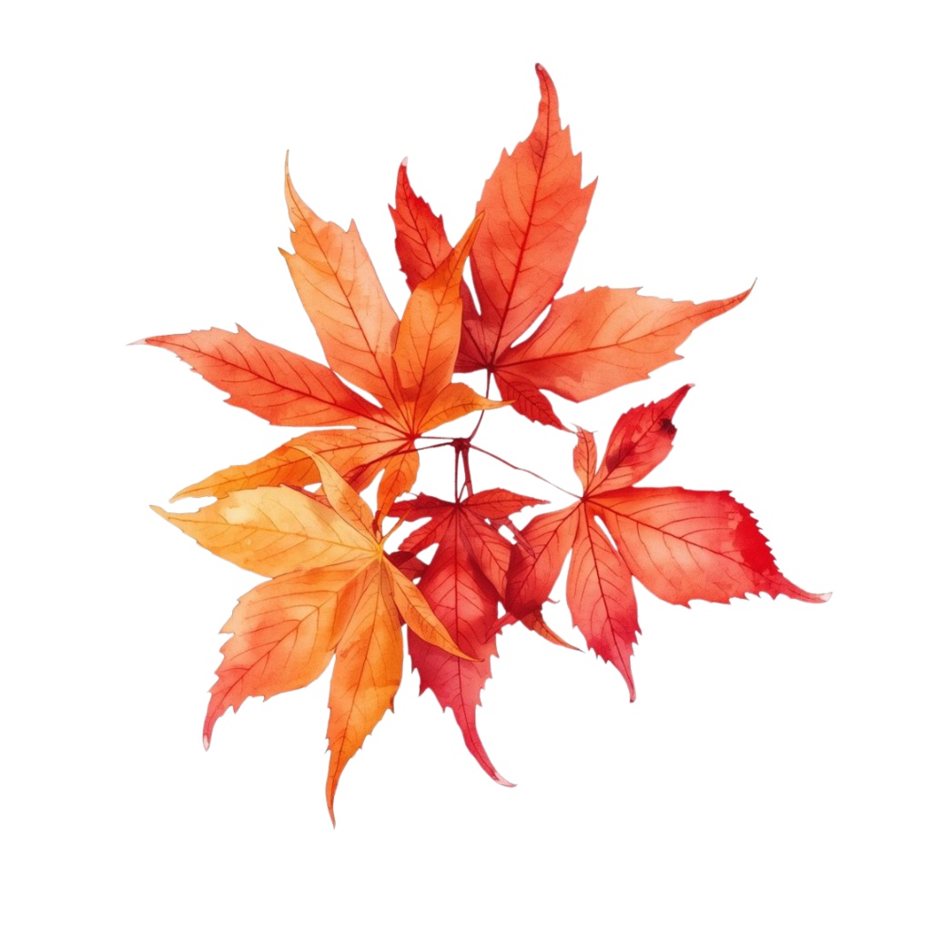 秋の紅葉のイメージ 水彩画風クリップアート2 PING形式(背景透過)