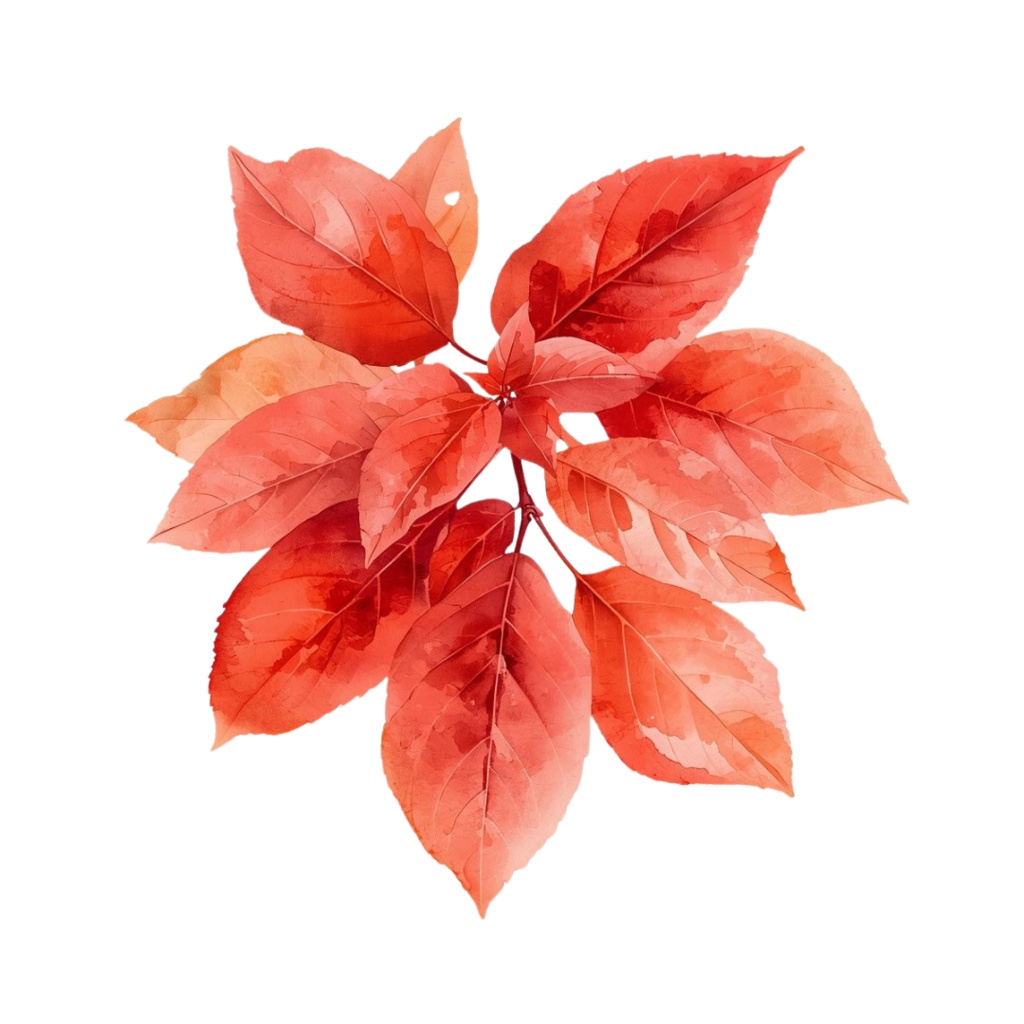 秋の紅葉のイメージ 水彩画風クリップアート2 PING形式(背景透過)