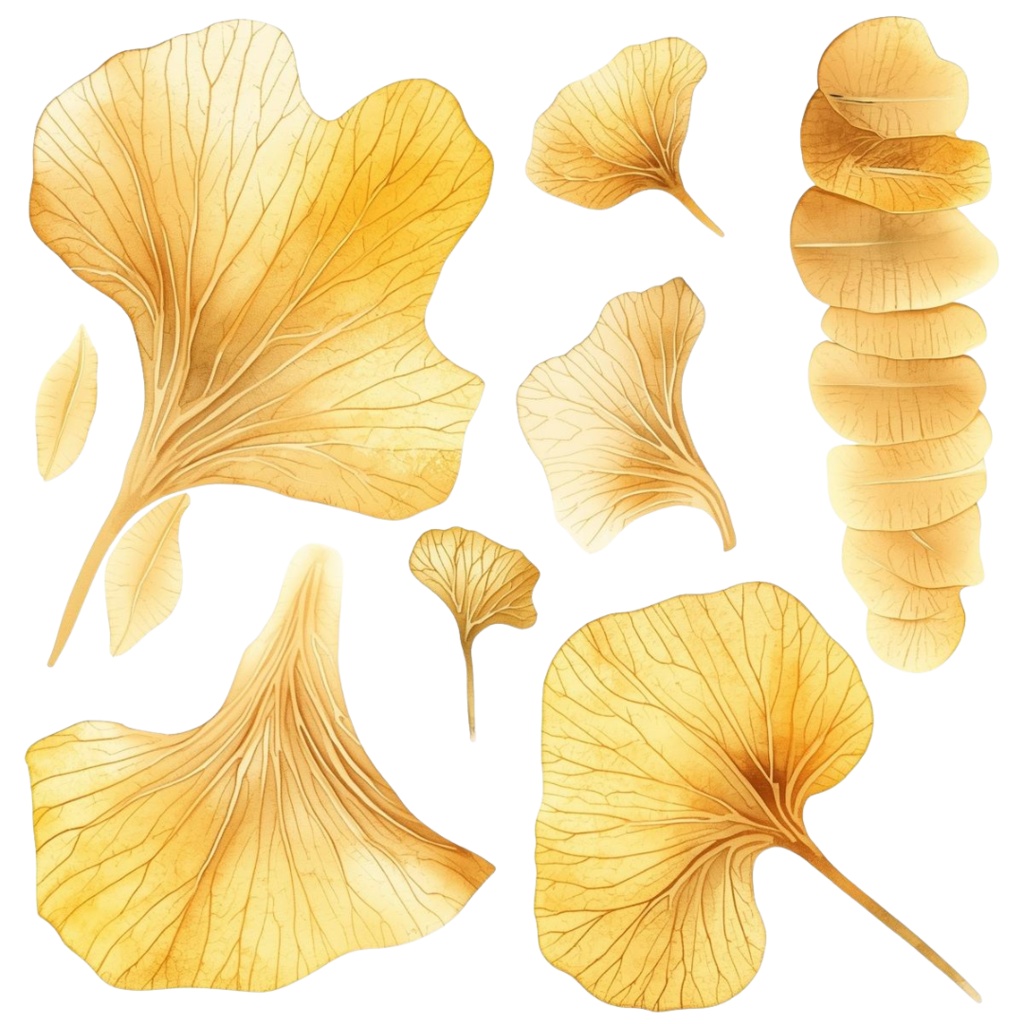 秋の紅葉のイメージ 水彩画風クリップアート2 PING形式(背景透過)