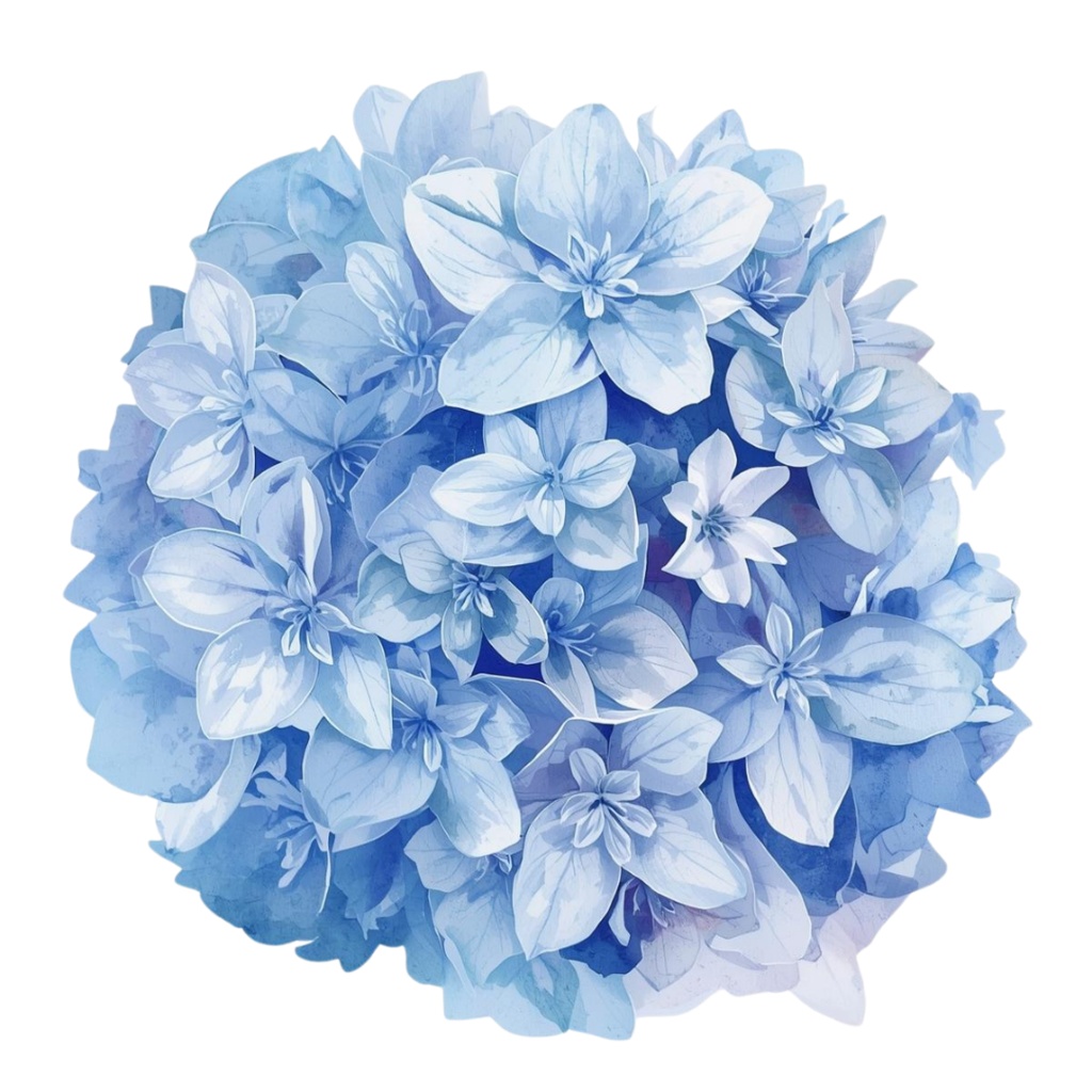 紫陽花・6月のイメージ クリップアートセット1 全41種 PING形式(背景透過)