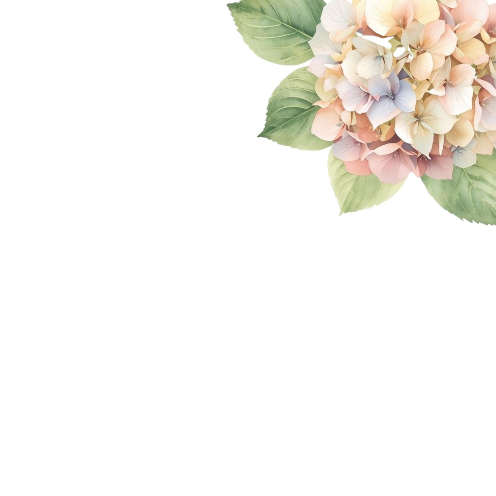 紫陽花・6月のイメージ クリップアートセット1 全41種 PING形式(背景透過)