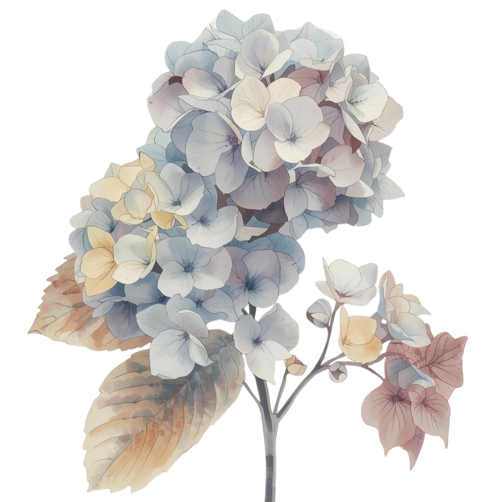 紫陽花・6月のイメージ クリップアートセット1 全41種 PING形式(背景透過)