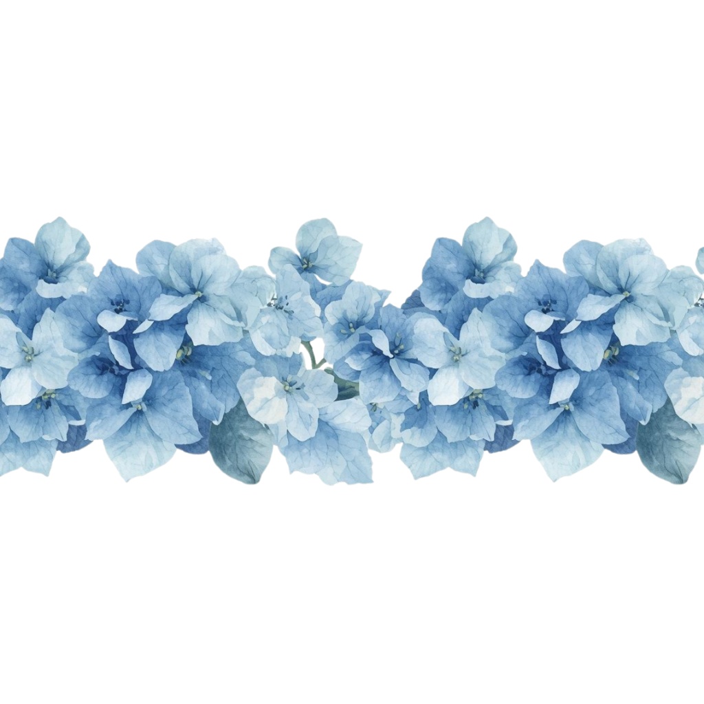 紫陽花・6月のイメージ クリップアートセット1 全41種 PING形式(背景透過)