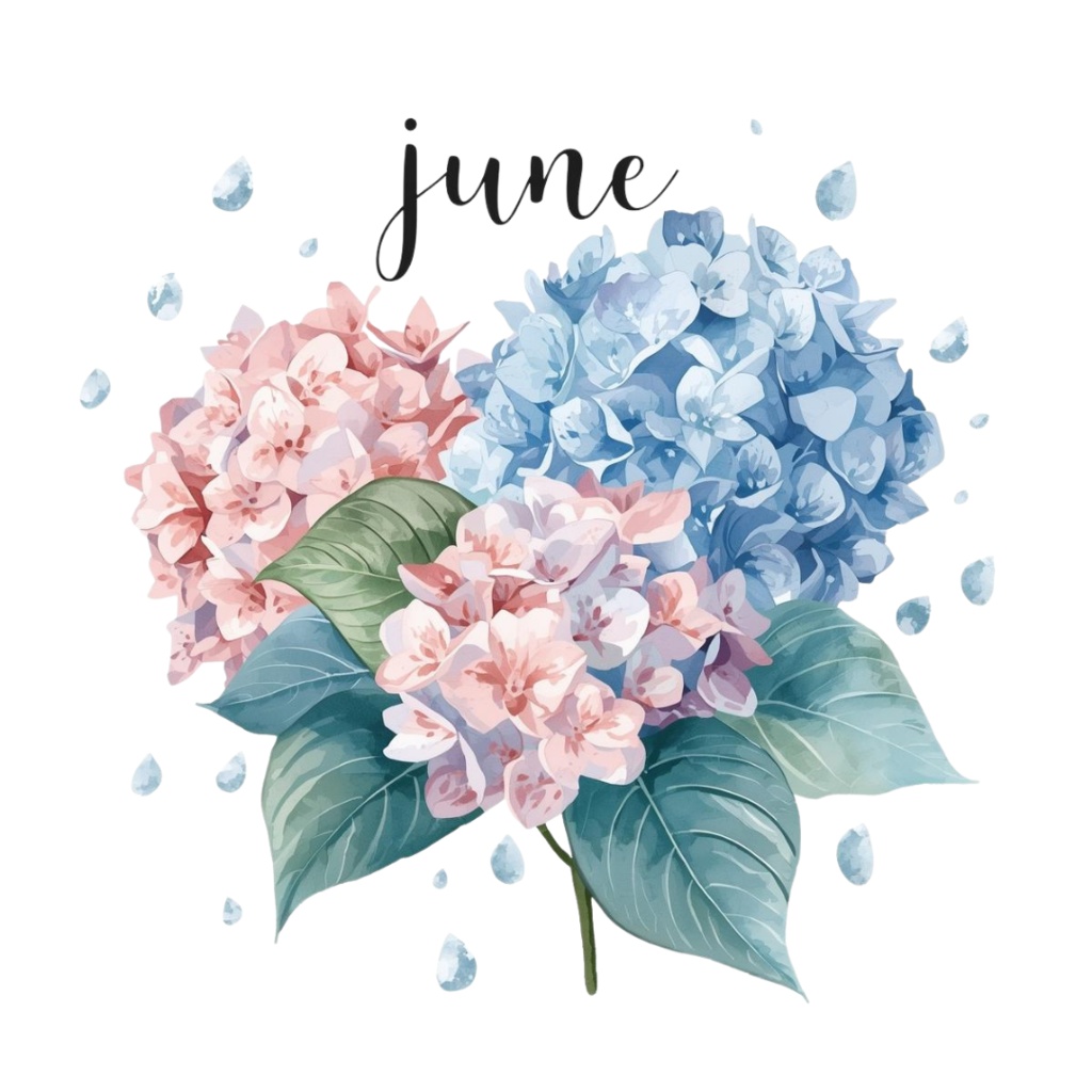 紫陽花・6月のイメージ クリップアートセット1 全41種 PING形式(背景透過)