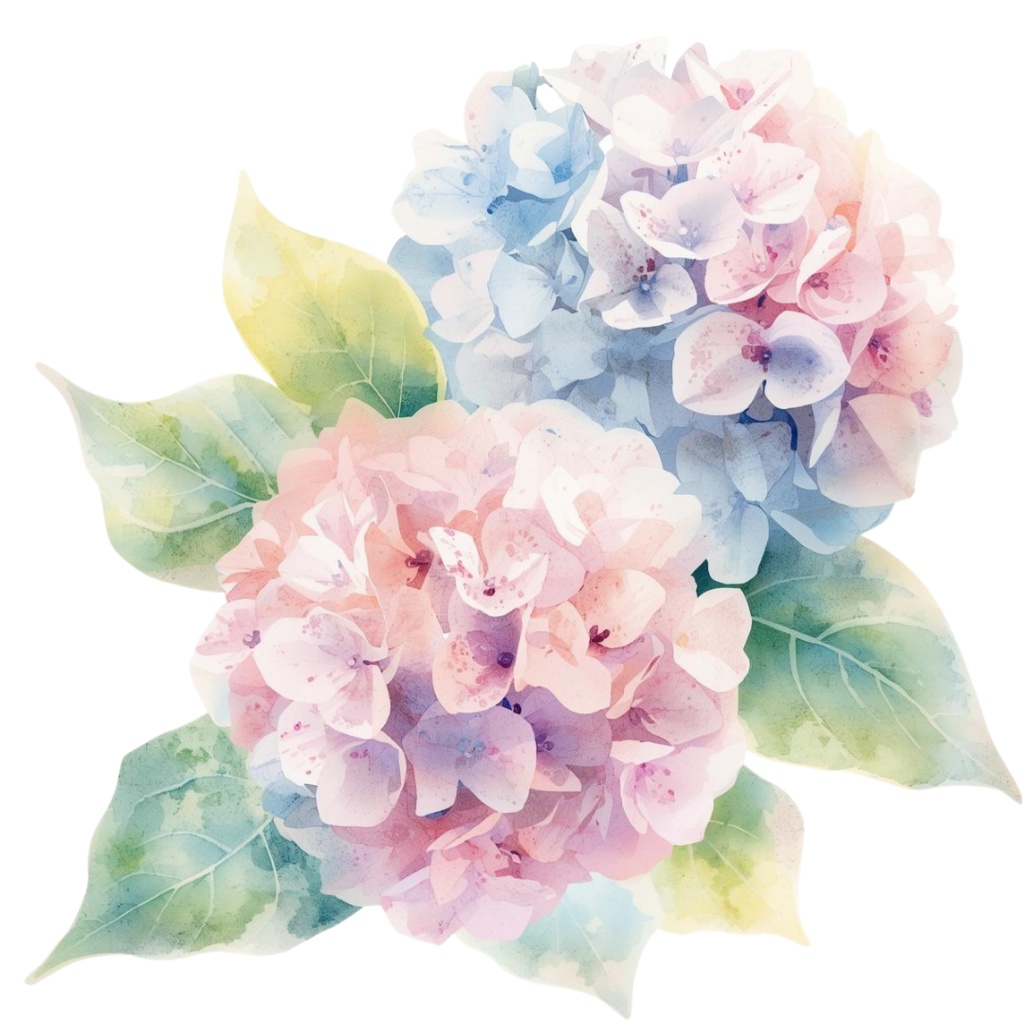 紫陽花・6月のイメージ クリップアートセット1 全41種 PING形式(背景透過)