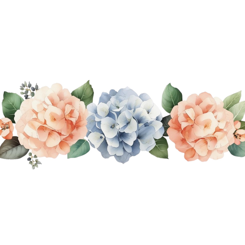 紫陽花・6月のイメージ クリップアートセット1 全41種 PING形式(背景透過)