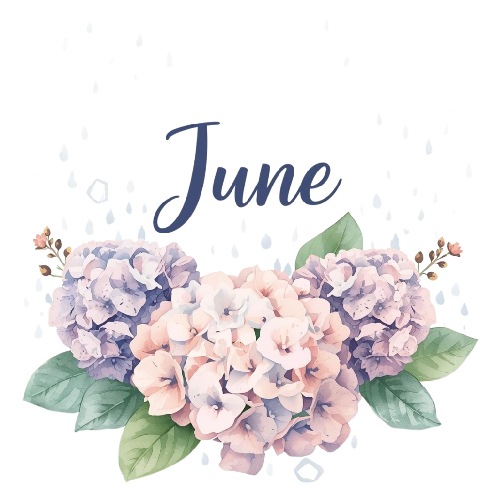 紫陽花・6月のイメージ クリップアートセット2 全45種 PING形式(背景透過)