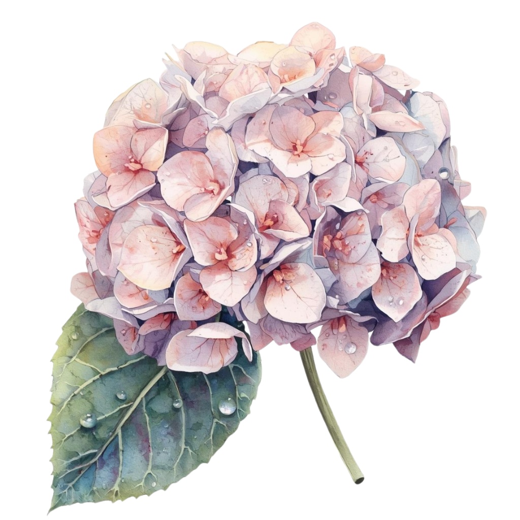 紫陽花・6月のイメージ クリップアートセット2 全45種 PING形式(背景透過)