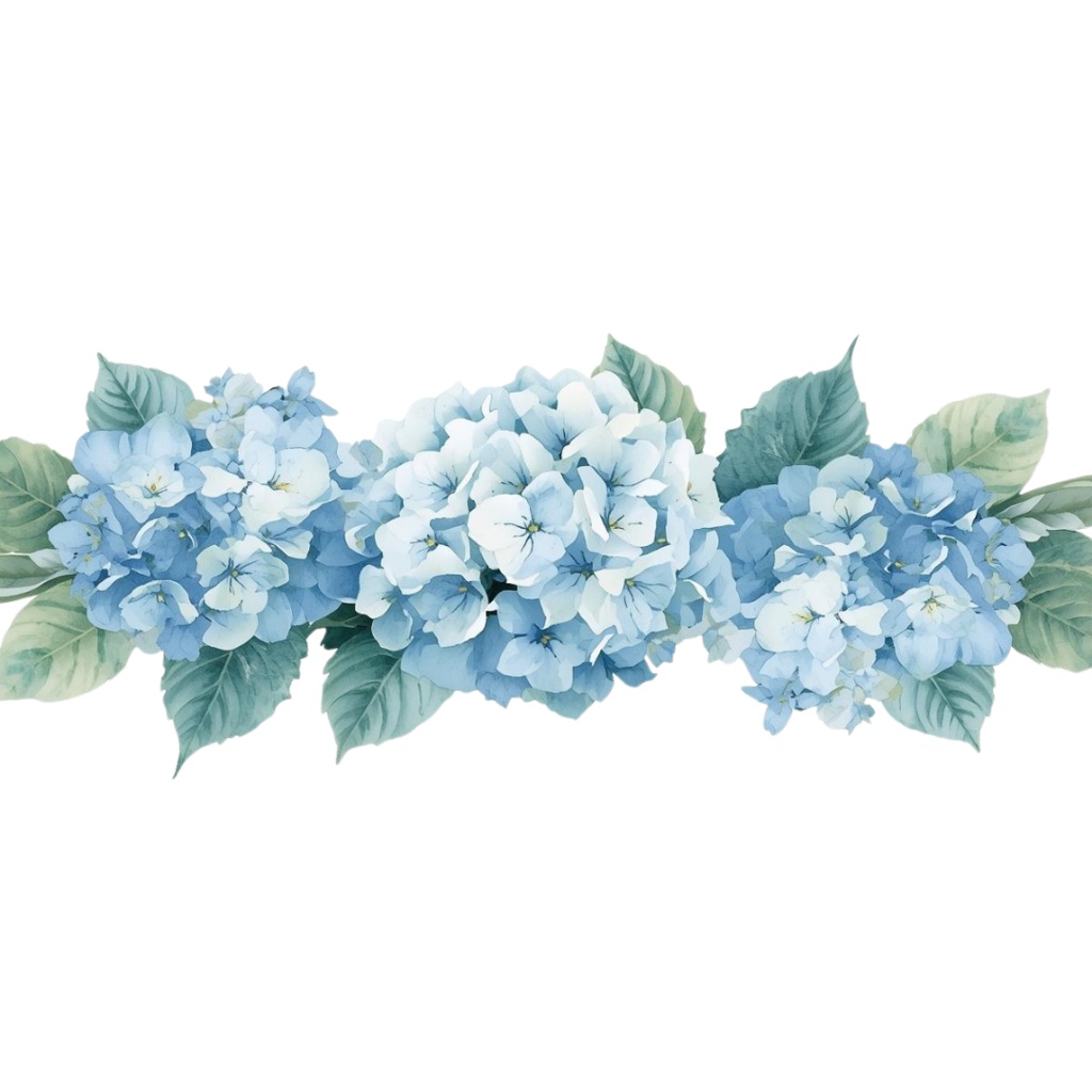 紫陽花・6月のイメージ クリップアートセット2 全45種 PING形式(背景透過)