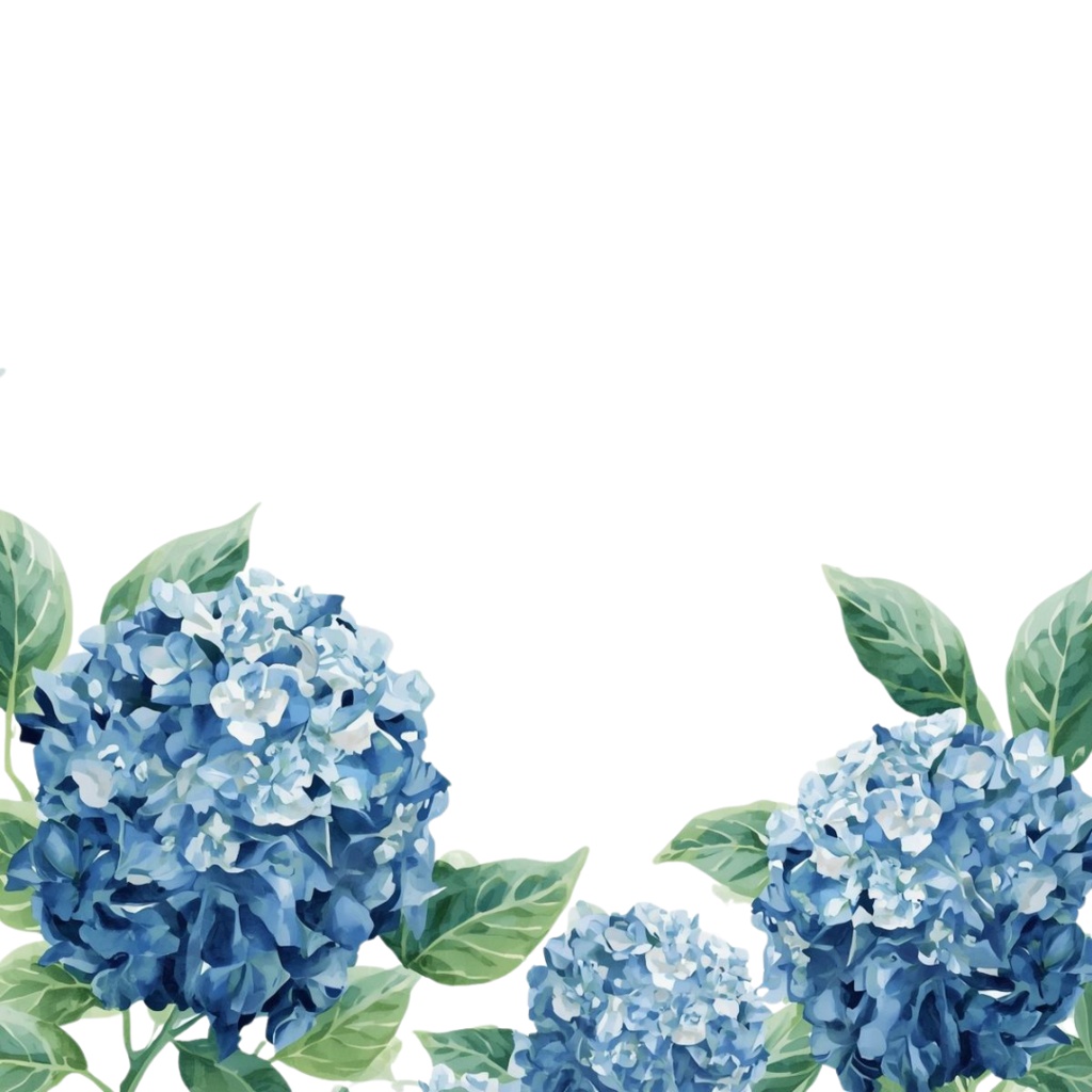 紫陽花・6月のイメージ クリップアートセット2 全45種 PING形式(背景透過)