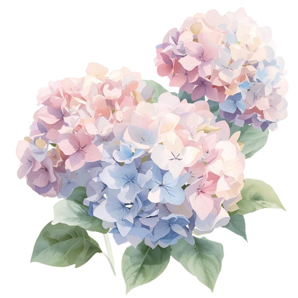 紫陽花・6月のイメージ クリップアートセット3 全46種 PING形式(背景透過)