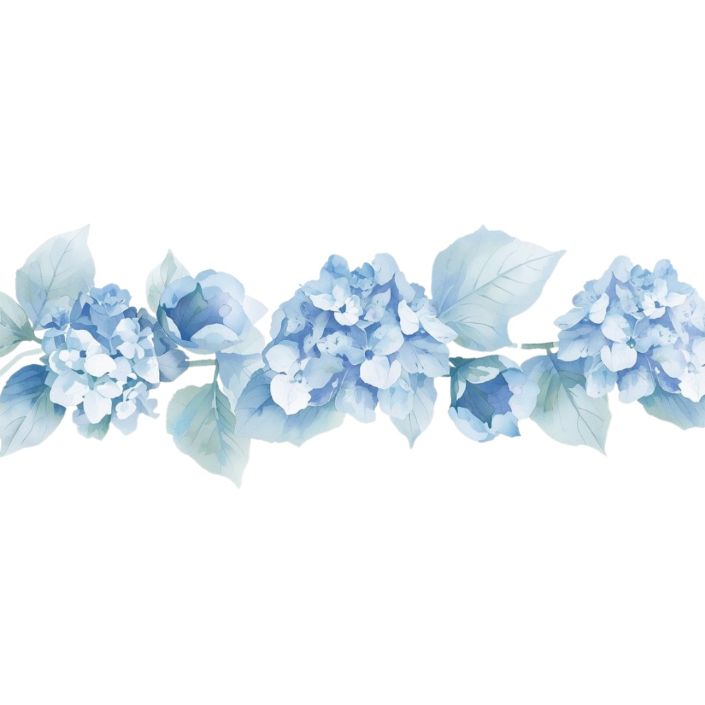 紫陽花・6月のイメージ クリップアートセット3 全46種 PING形式(背景透過)