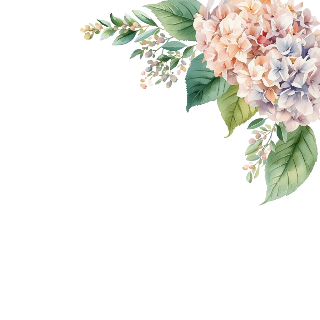 紫陽花・6月のイメージ クリップアートセット3 全46種 PING形式(背景透過)