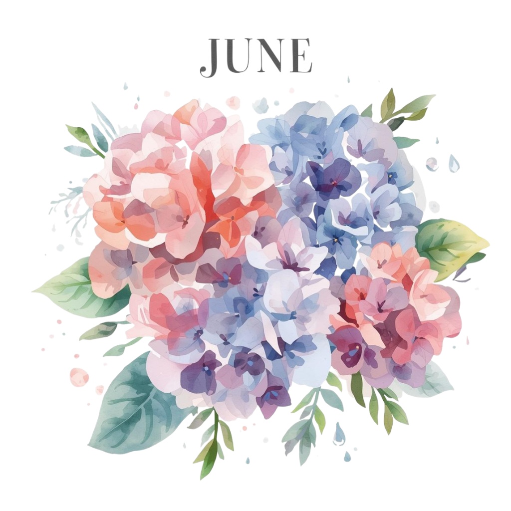 紫陽花・6月のイメージ クリップアートセット3 全46種 PING形式(背景透過)