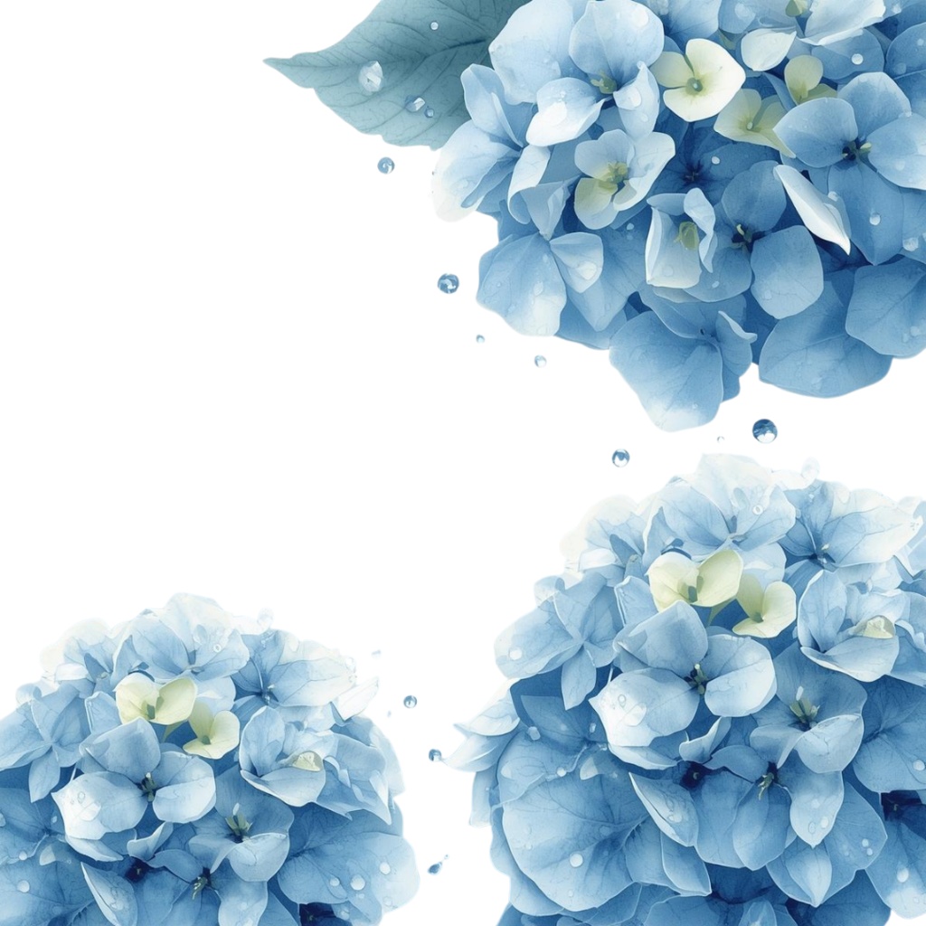 紫陽花・6月のイメージ クリップアートセット3 全46種 PING形式(背景透過)