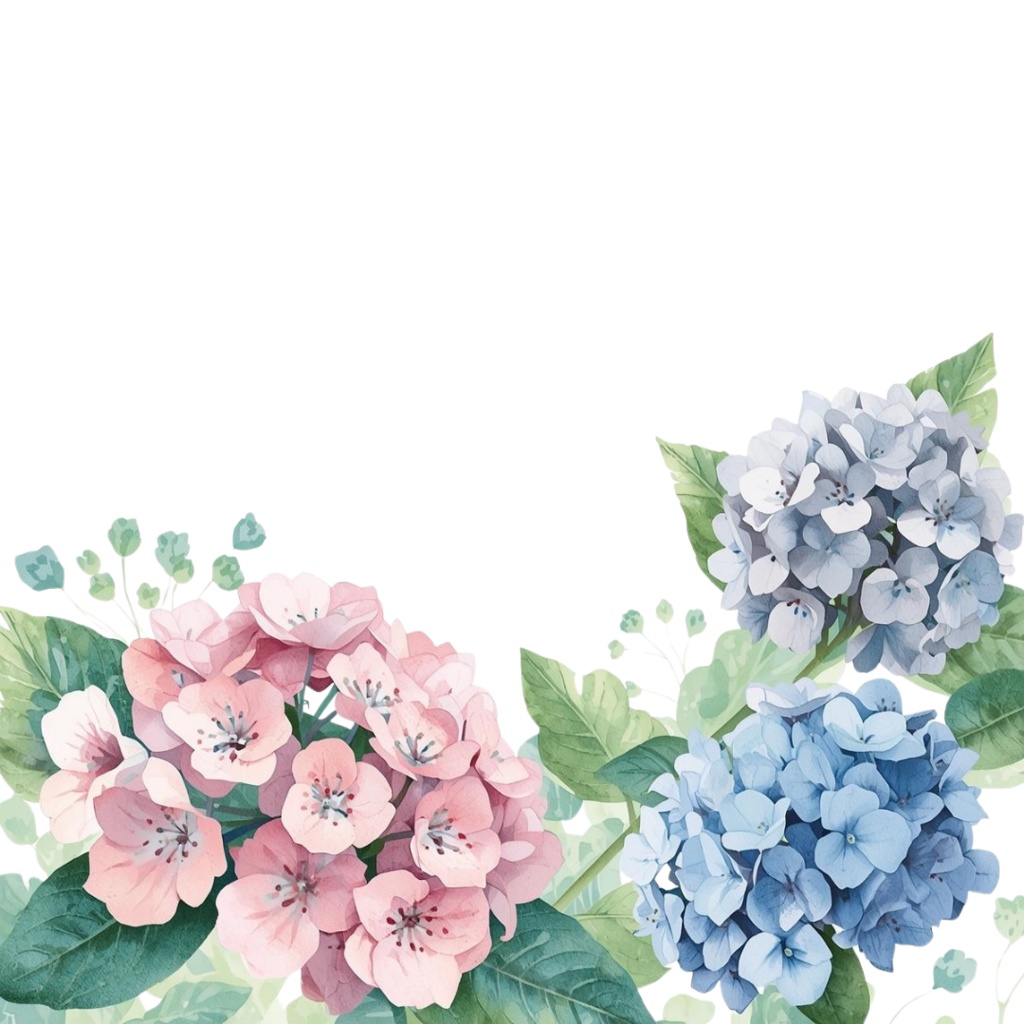 紫陽花・6月のイメージ クリップアートセット4 全45種 PING形式(背景透過)