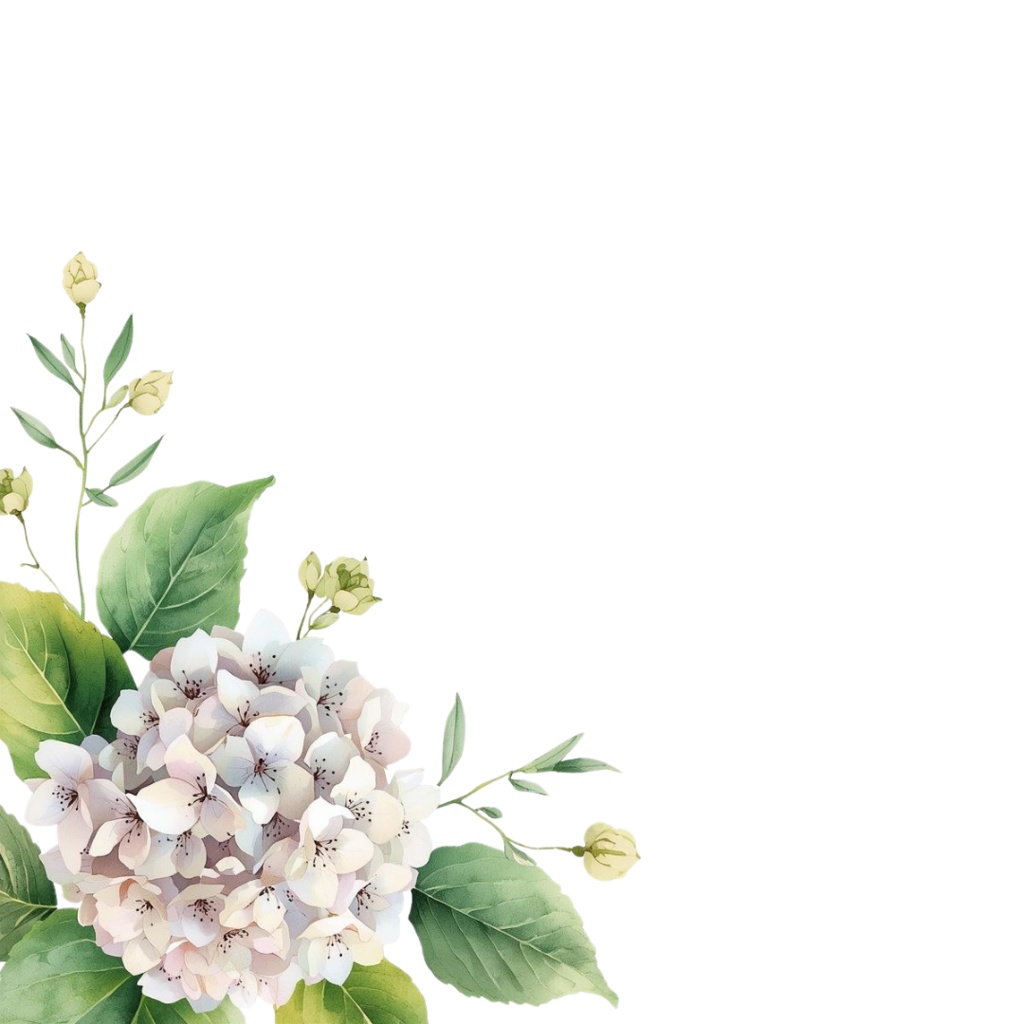 紫陽花・6月のイメージ クリップアートセット4 全45種 PING形式(背景透過)