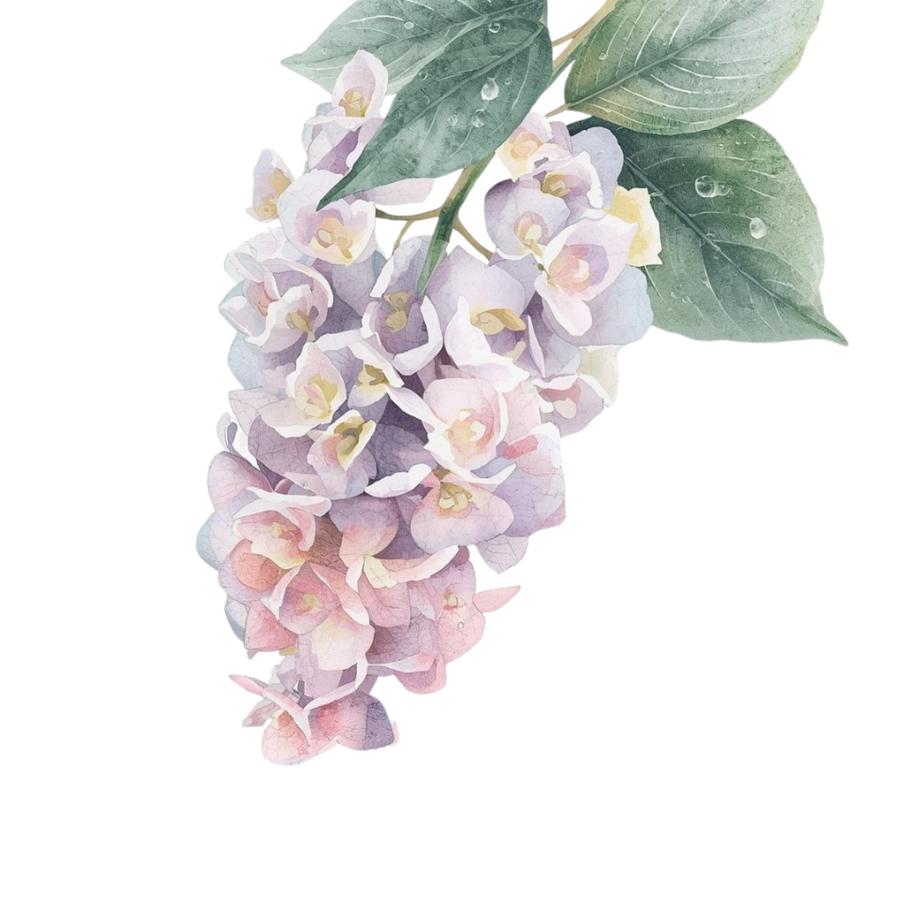 紫陽花・6月のイメージ クリップアートセット4 全45種 PING形式(背景透過)