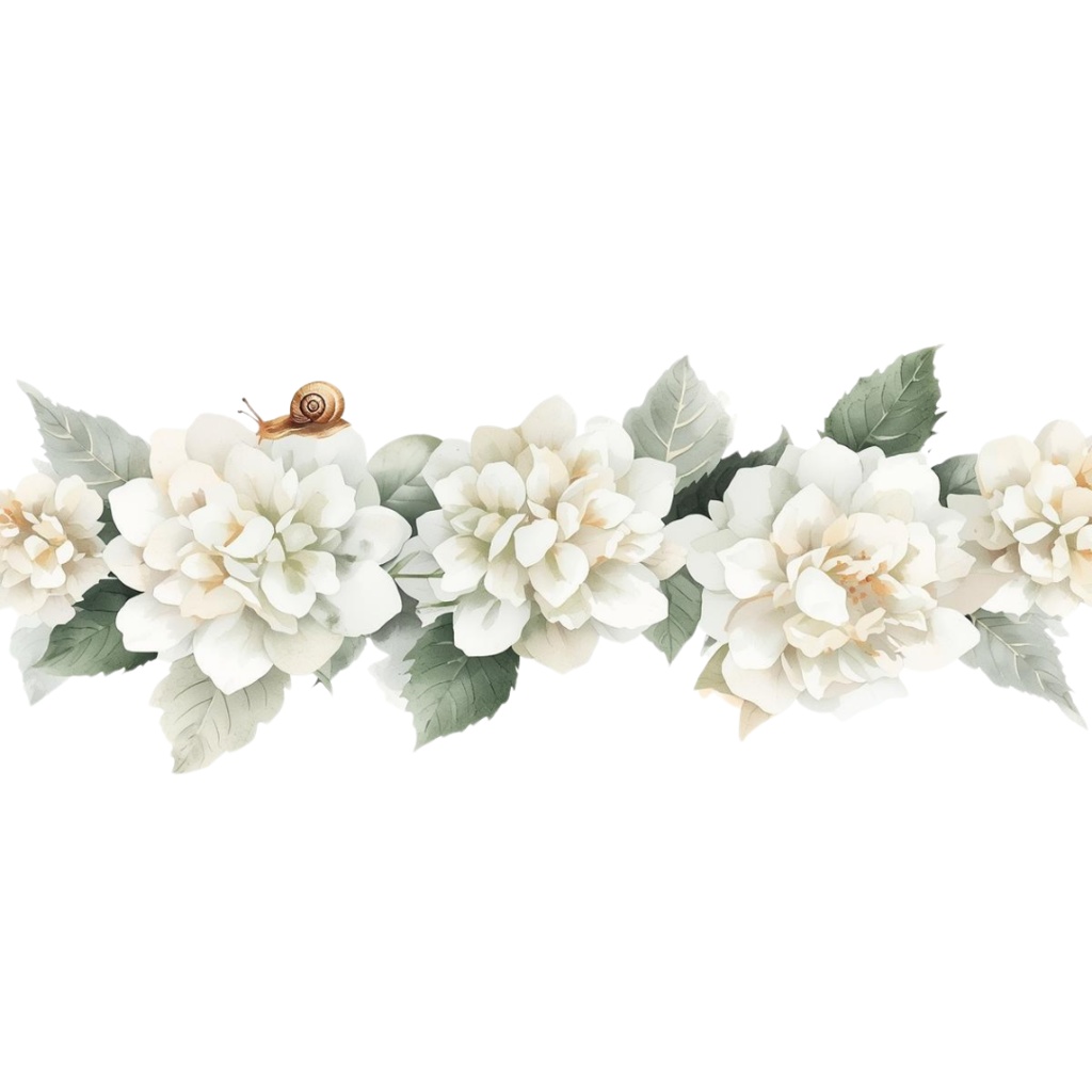 紫陽花・6月のイメージ クリップアートセット4 全45種 PING形式(背景透過)