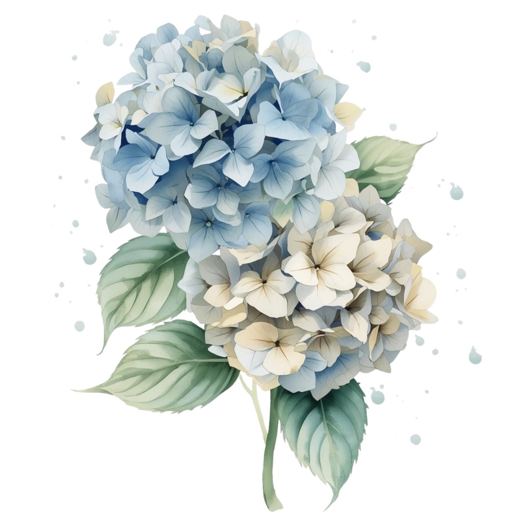 紫陽花・6月のイメージ クリップアートセット4 全45種 PING形式(背景透過)