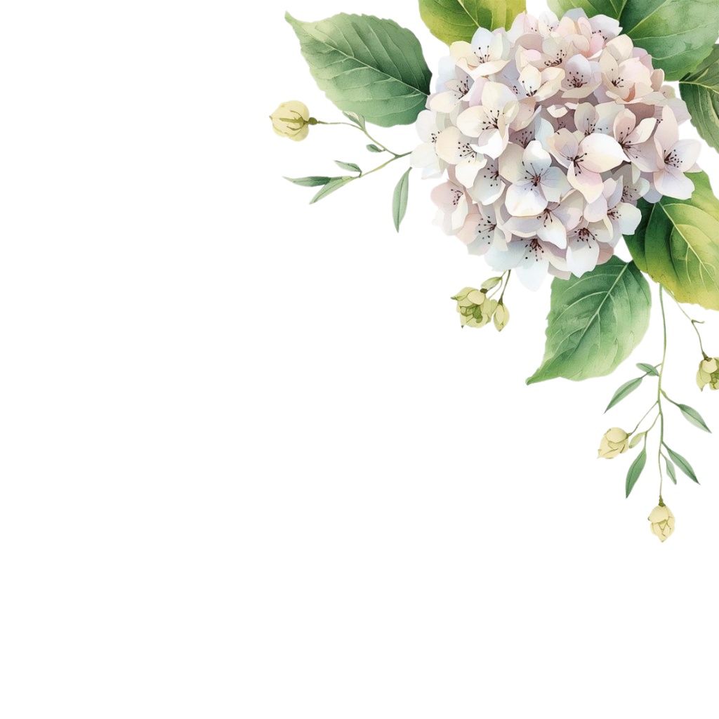 紫陽花・6月のイメージ クリップアートセット4 全45種 PING形式(背景透過)