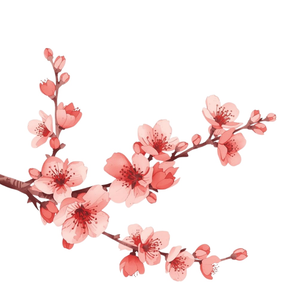 🌼 淡い水彩タッチのフラワーショップ クリップアートセット1 全41種 PNG形式(背景透過)🌼