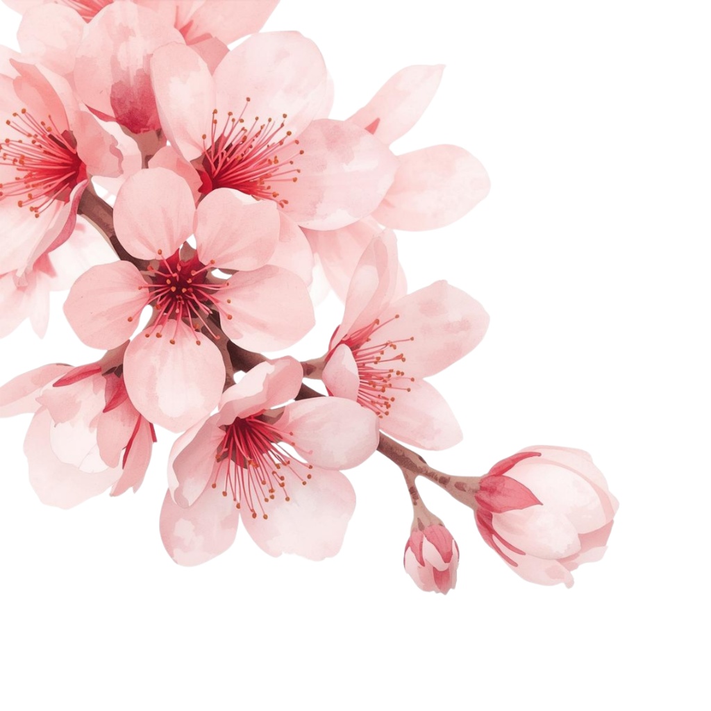 🌼 淡い水彩タッチのフラワーショップ クリップアートセット2 全50種 PNG形式(背景透過)🌼