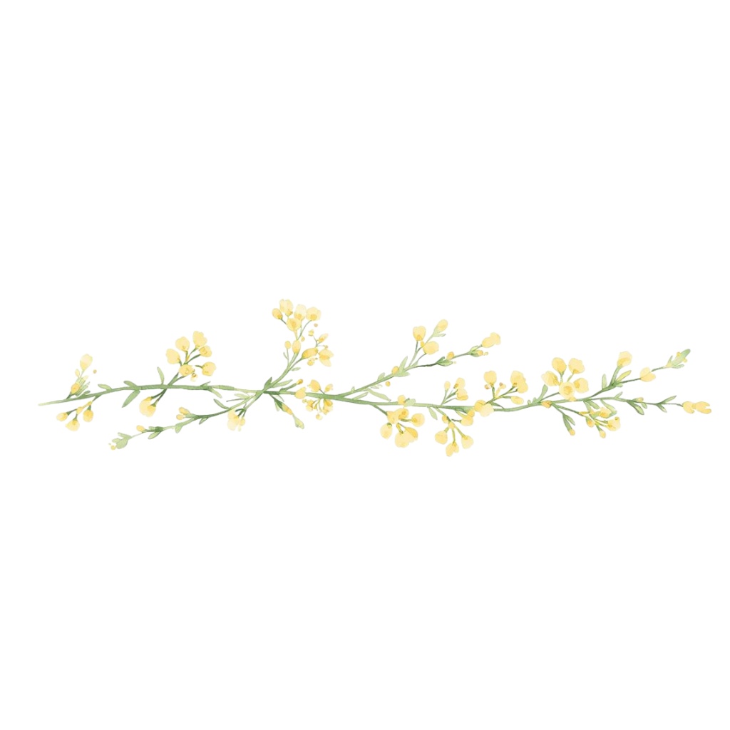 🌼 春の花 フラワーショップ クリップアートセット3 全42種 PNG形式(背景透過)🌼