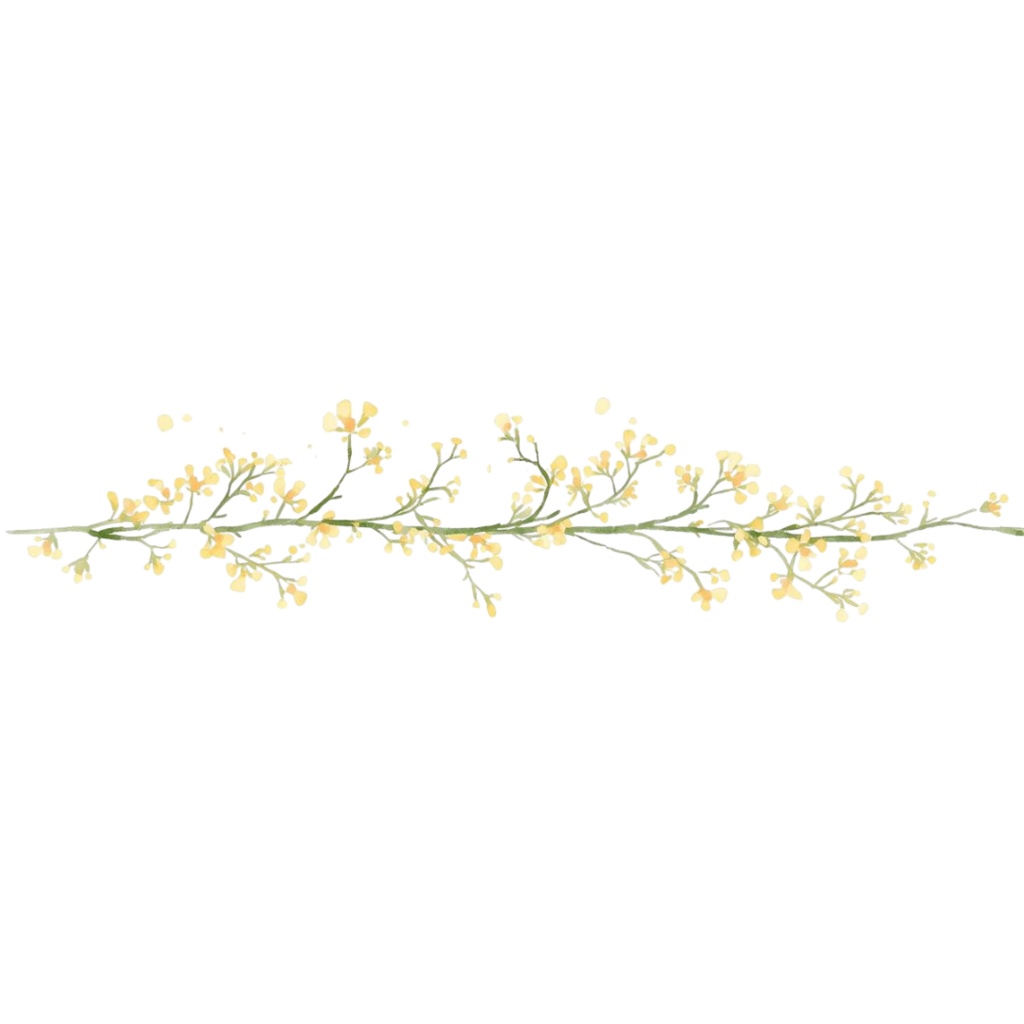 🌼 春の花 フラワーショップ クリップアートセット4 全47種 PNG形式(背景透過)🌼