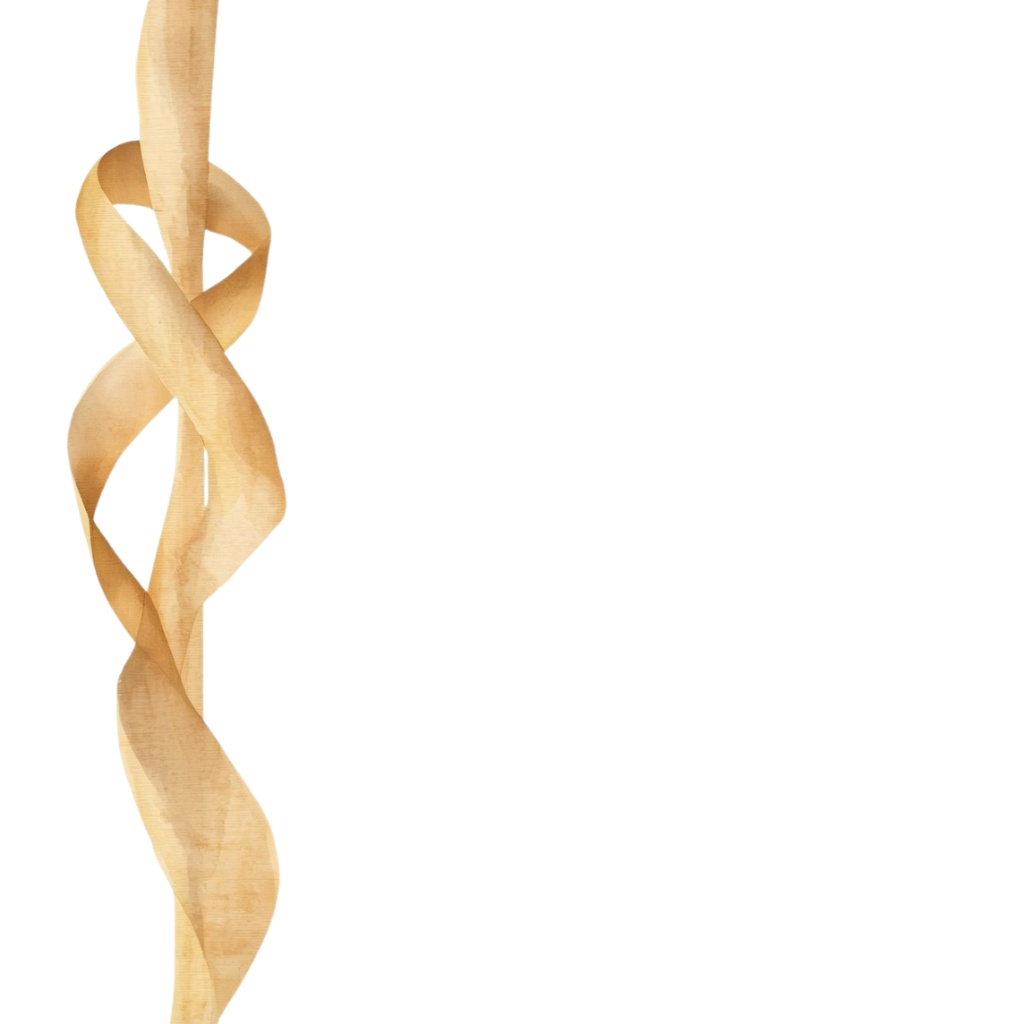 🌼 春の花 フラワーショップ クリップアートセット4 全47種 PNG形式(背景透過)🌼