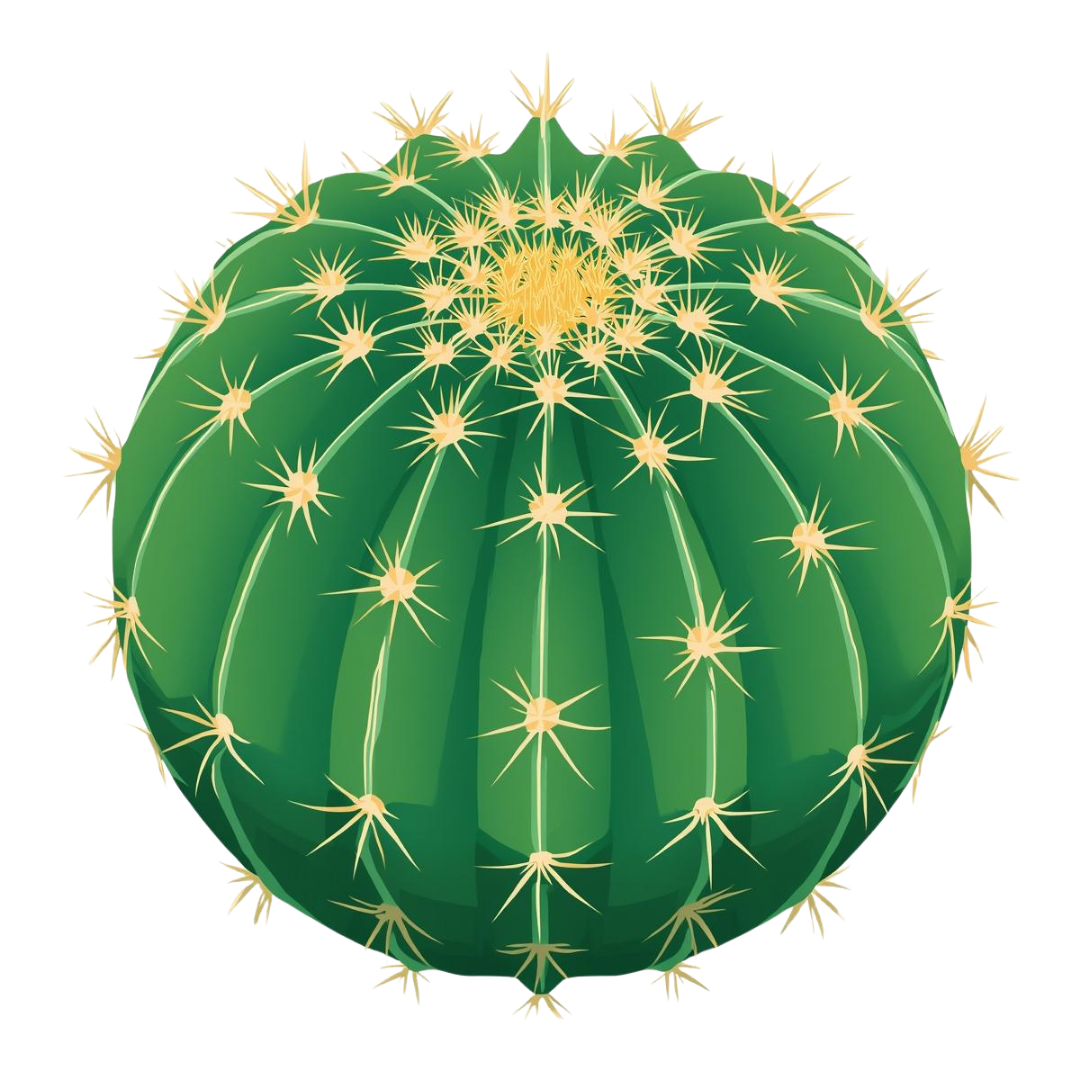 🌵 サボテン＆多肉植物 クリップアートセット2 全 41種 PNG形式（背景透過）🌱 - マルゴ - BOOTH