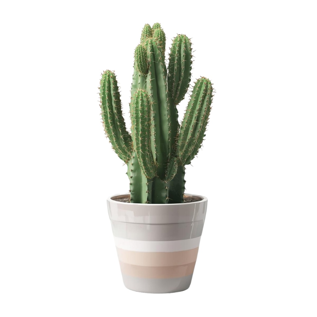 ðµ ãµããã³ïŒå€èæ€ç© ã¯ãªããã¢ãŒãã»ããïŒãå
š ïŒïŒçš®ãPNG圢åŒïŒèæ¯ééïŒð±