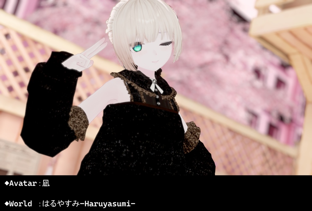 【5アバター対応】Welle Eye Texture