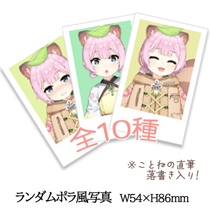 ランダムポラ風写真（1枚）