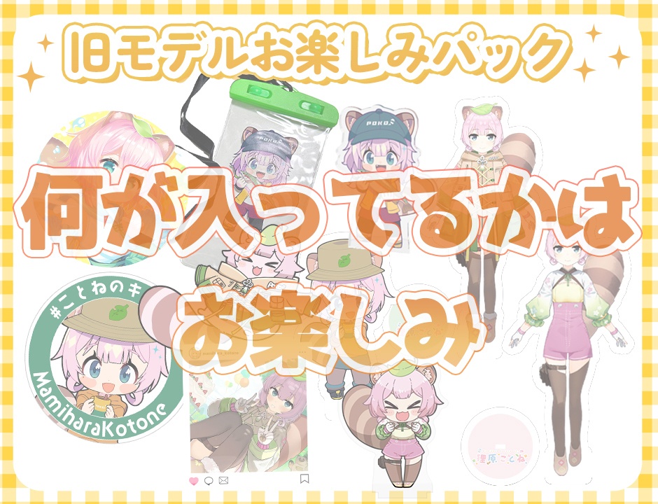 旧モデルお楽しみパック