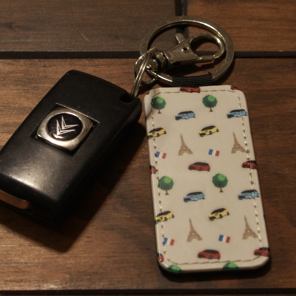 【キーホルダー】DS3