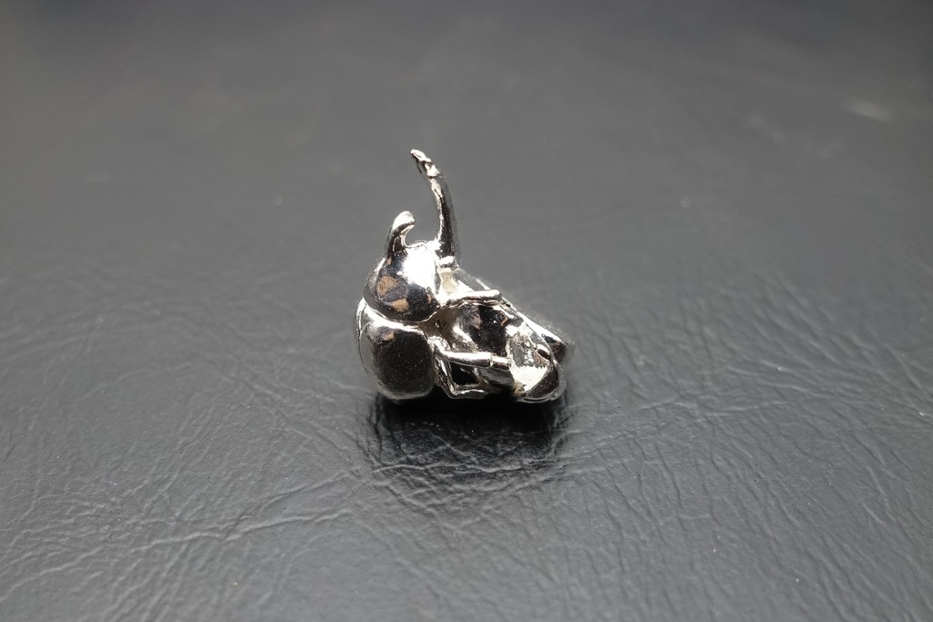 リンゴにしがみつくカブトムシ