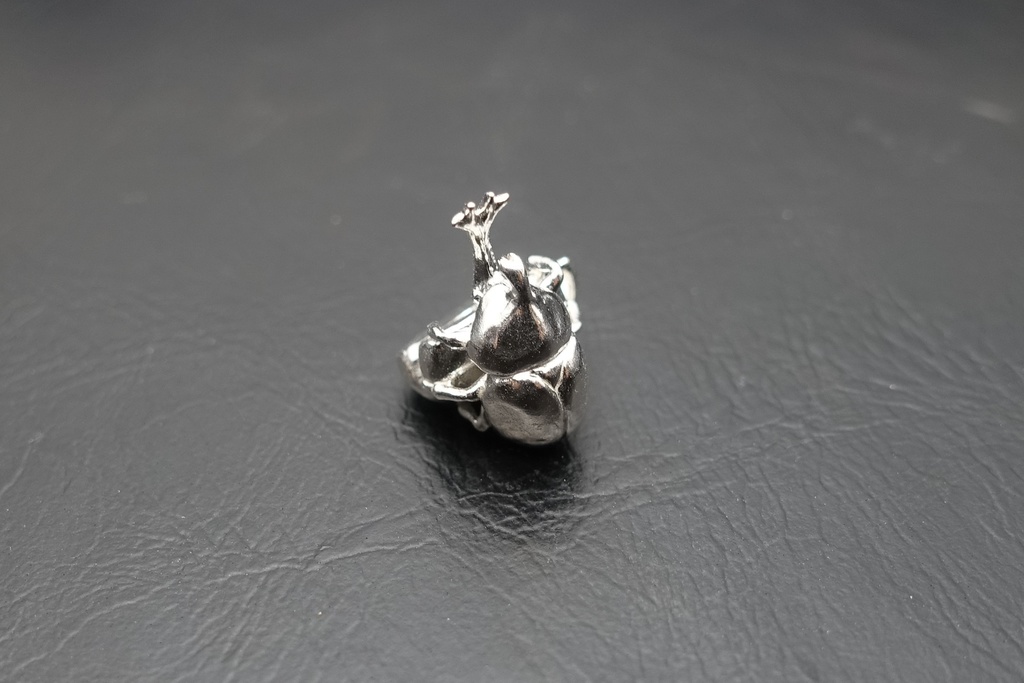 リンゴにしがみつくカブトムシ