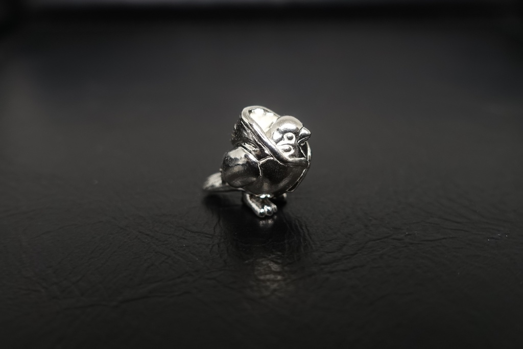 パーカーを着たスズメ