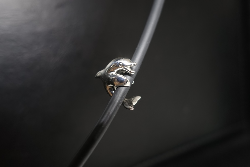 ケーブルにしがみつくイルカ