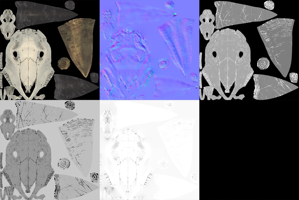 牛の頭骨+角3種類