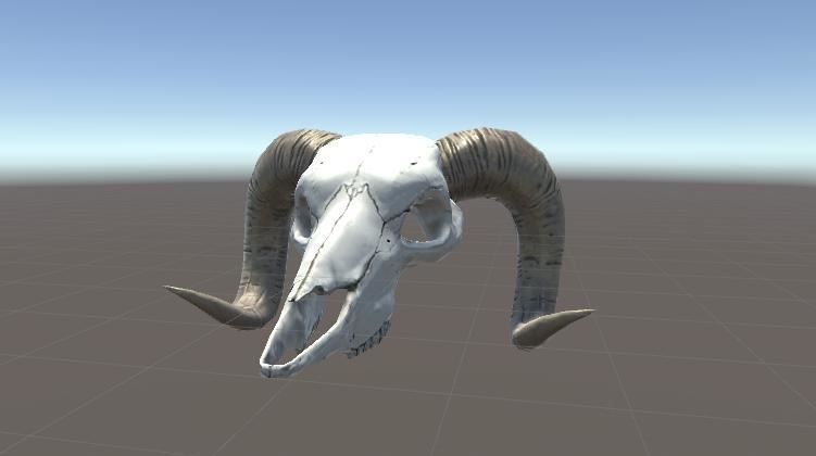 牛の頭骨+角3種類