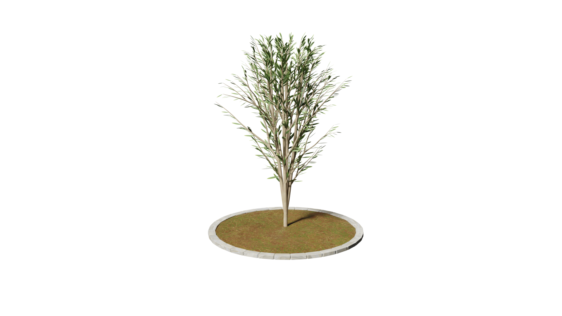 【Free DL】plant_1