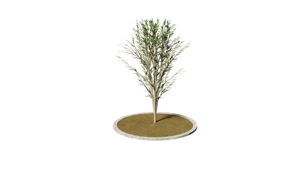 【Free DL】plant_1