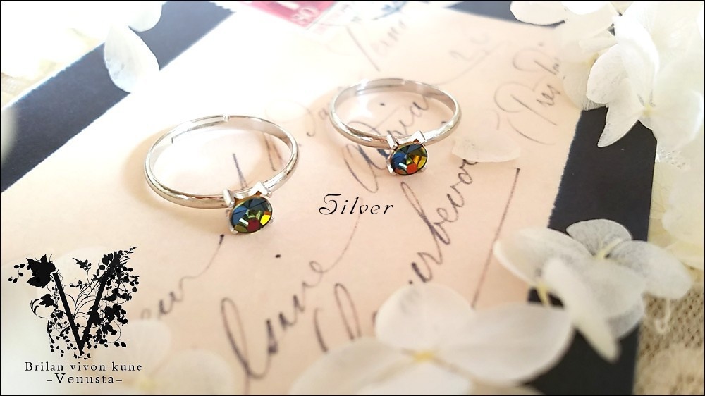 【再販】*ヴィトレイルの小さな彩を-Vintage-*