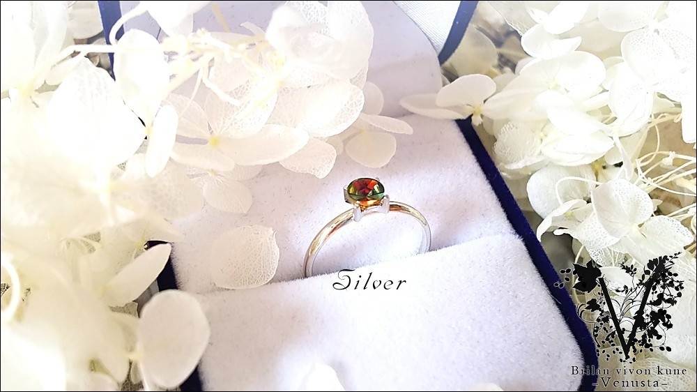 【再販】*ヴィトレイルの小さな彩を-Vintage-*